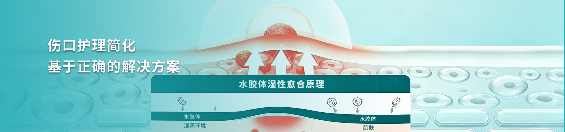 医疗保健 · 水胶体敷料