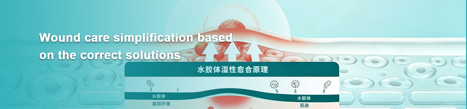 Medical care · Hydrocolloid dressing